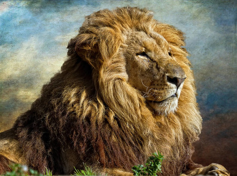獅子王
