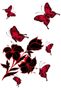 熱帶蝴蝶花