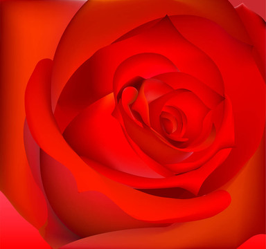 紅色的玫瑰