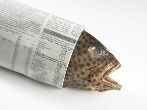 魚