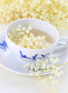 接骨木茶