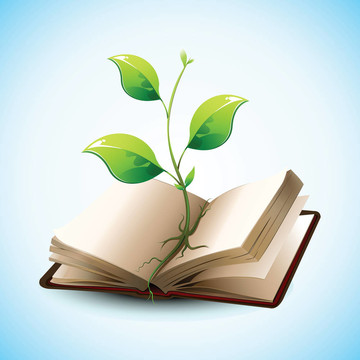 開放式植物生長