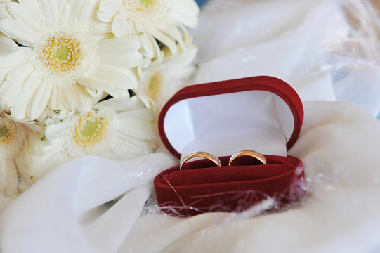 白色非洲菊和結(jié)婚戒指