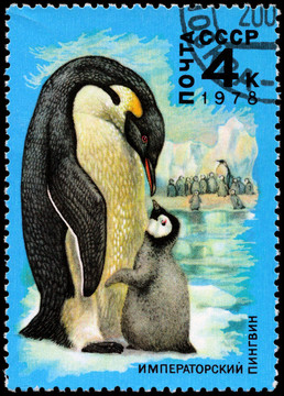 USSR -大約1978只企鵝