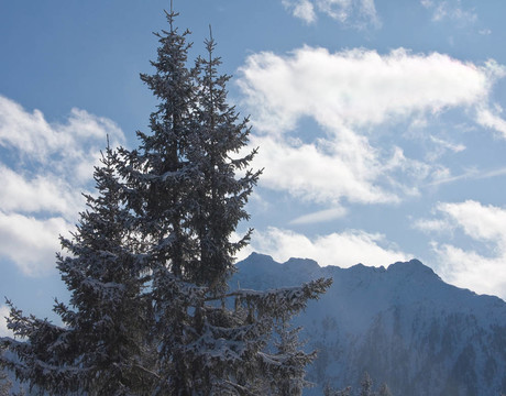 冬下雪山?；﹦俚厥├旅鳌０拇罄麃? style=