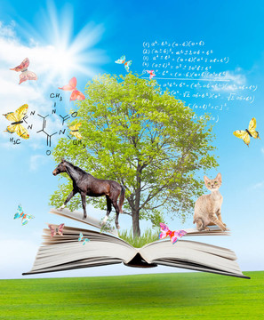 魔法書和一棵綠色的樹和不同的動物