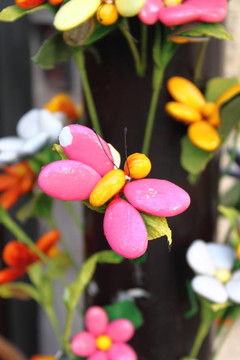 蝴蝶糖果