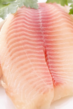 tilapiini菲力
