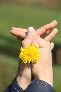 手和花