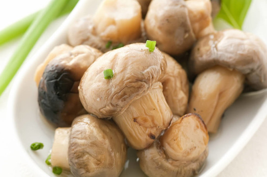 腌蘑菇