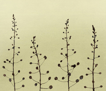 紙背景下的花境藝術(shù)
