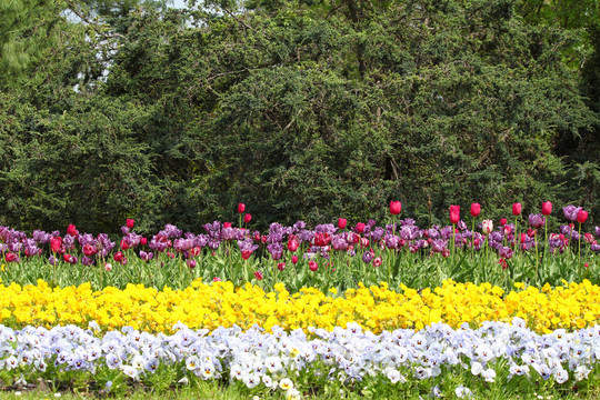 豐富多彩的花園