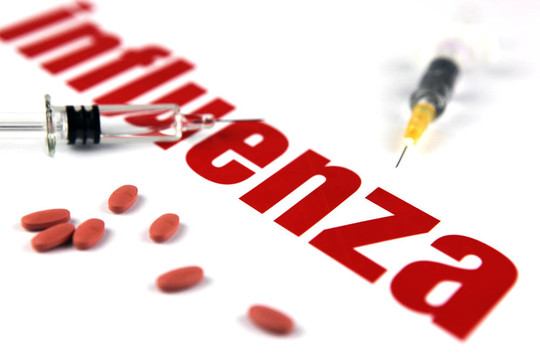 甲型H1N1流感病毒