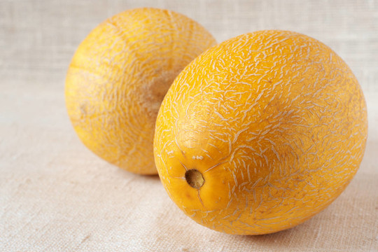 兩個(gè)瓜