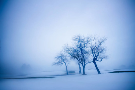 winterscape