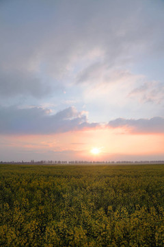 眺望鄉(xiāng)村波蘭風(fēng)景