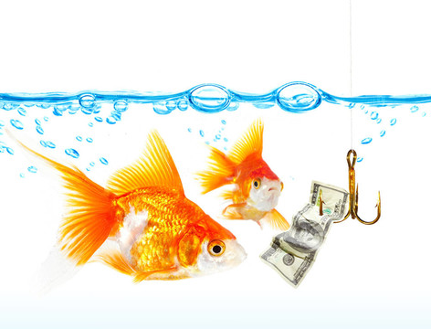 水下金小魚