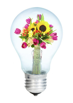 在白色背景上的一束鮮花electrobulb