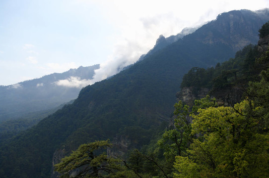 山地景觀