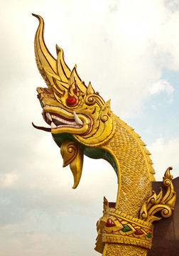 大毒蛇的頭