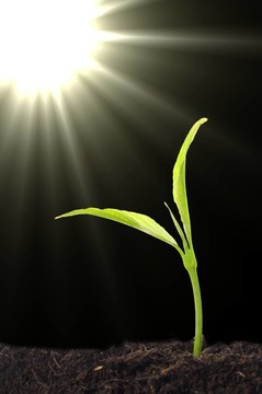 小廠