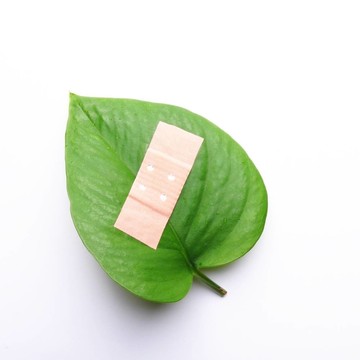 生態(tài)學(xué)的概念