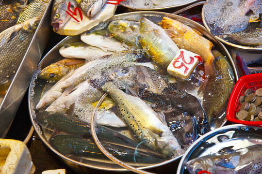 市場上的鮮魚