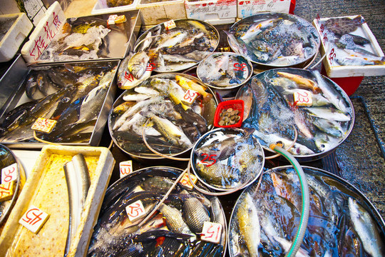 市場(chǎng)上的鮮魚(yú)
