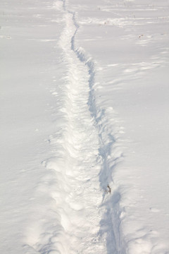 在雪的痕跡