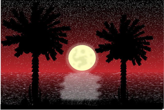 熱帶的夜晚