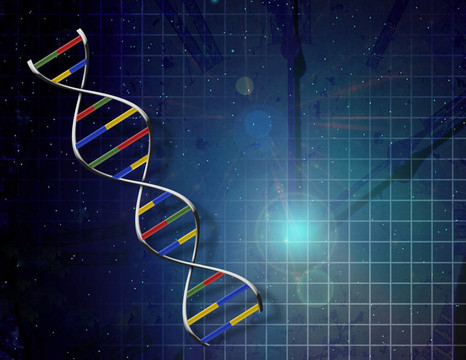 時(shí)間DNA