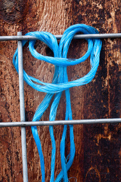 篱笆上的蓝绳子。