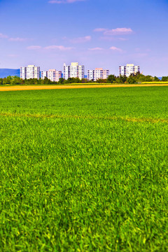 農(nóng)村景觀住宅小區(qū)