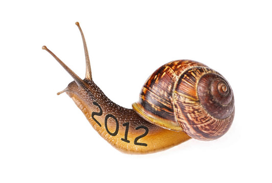 蝸牛2012