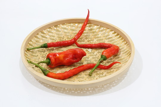 紅辣椒 簸箕