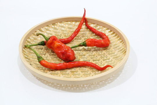 紅辣椒 簸箕