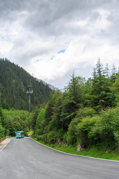 九寨溝高山森林公路