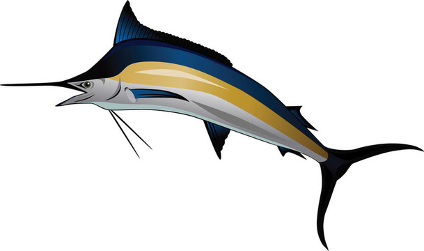 馬林魚