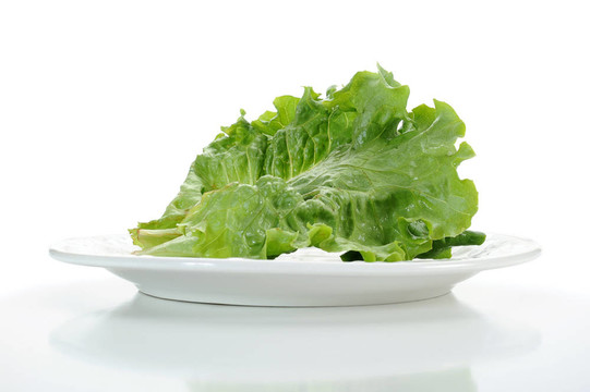 薩拉德