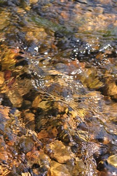 小溪淺灘背景