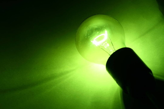 電燈泡