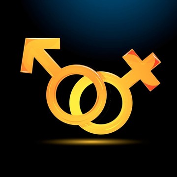 男性和女性圖標