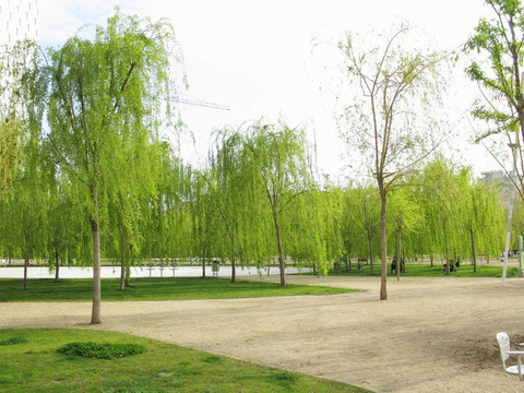 綠色公園