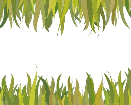綠色邊框