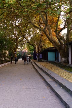 南方風(fēng)景