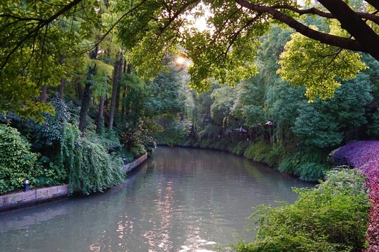 南方風(fēng)景
