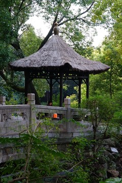 南方風(fēng)景