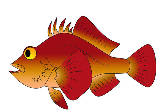 五顏六色的玩具魚(yú)
