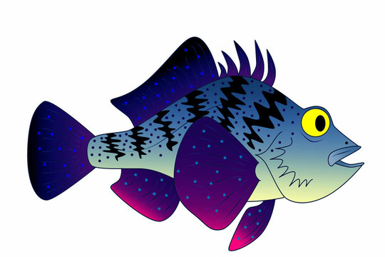 五顏六色的玩具魚