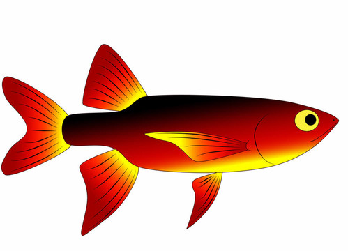 五顏六色的玩具魚